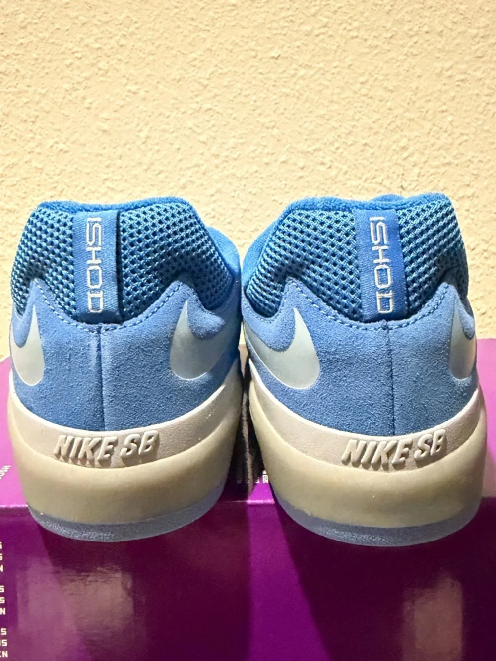Nike Men’s Light Blue Low-Top Skate Sneakers